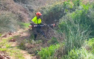 Millores ambientals amb el suport de la Diputació de Tarragona