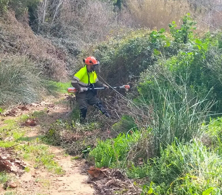 Millores ambientals amb el suport de la Diputació de Tarragona