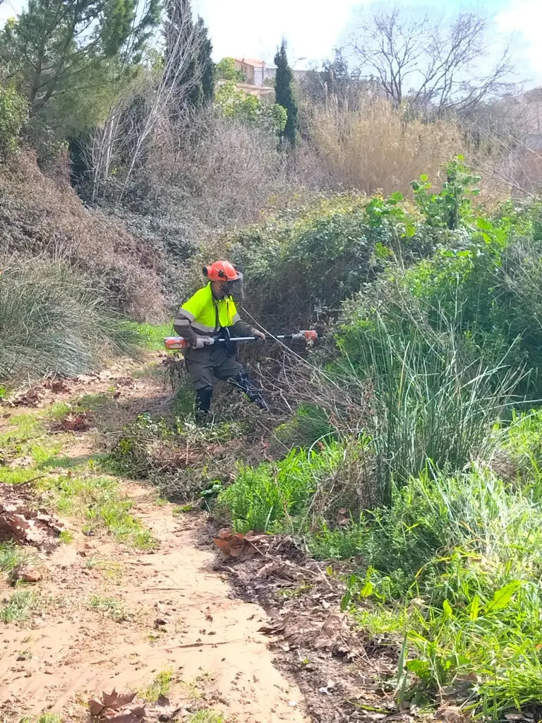 Millores ambientals amb el suport de la Diputació de Tarragona… Millores ambientals amb el suport de la Diputació de Tarragona...