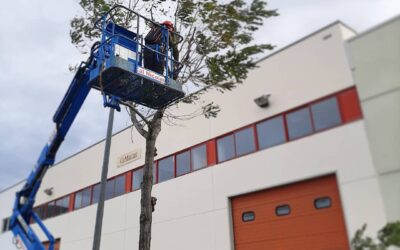 El projecte Polígons Inclusius 2.0 reb una subvenció de Fundació Pinnae per millorar les condicions de vida de les persones i col·lectius més vulnerables